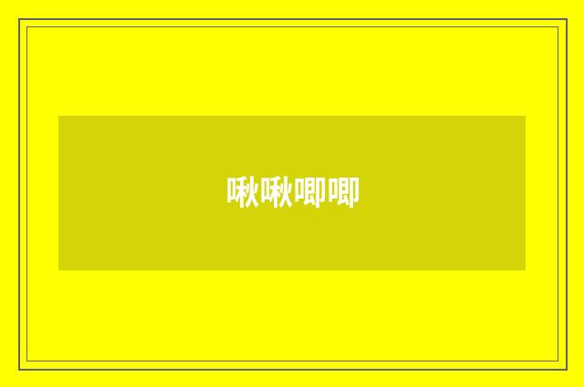 啾啾唧唧