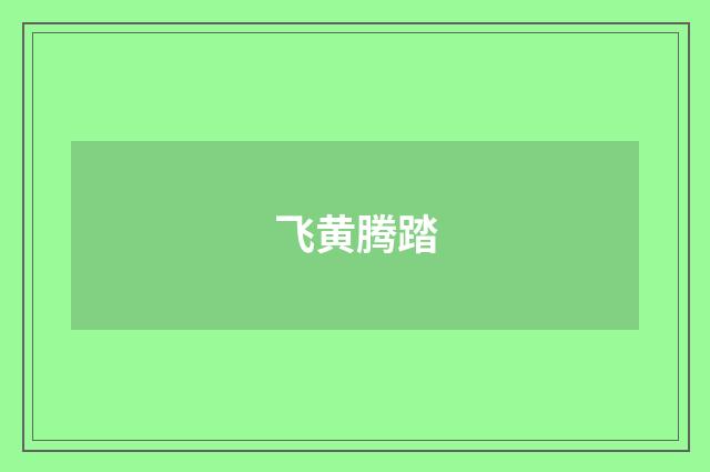 飞黄腾踏