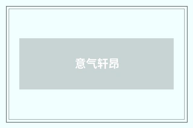 意气轩昂