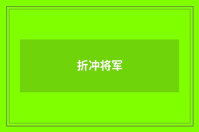 折冲将军