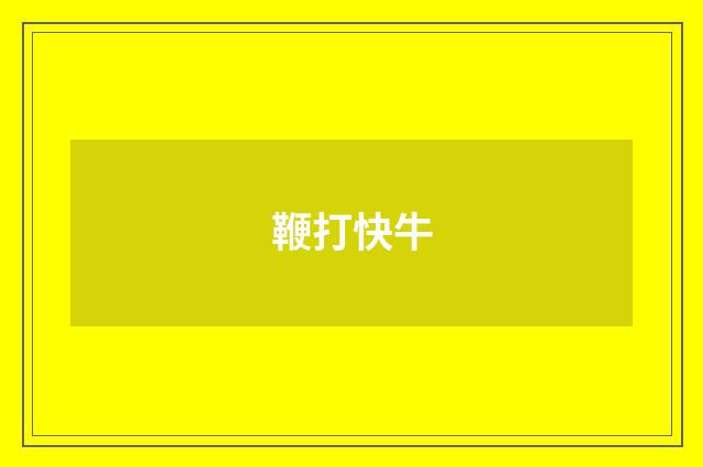 鞭打快牛