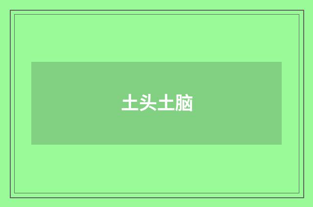 土头土脑