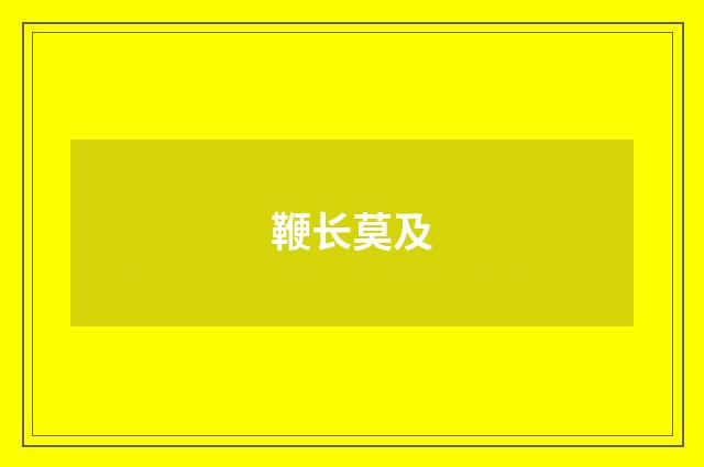 鞭长莫及