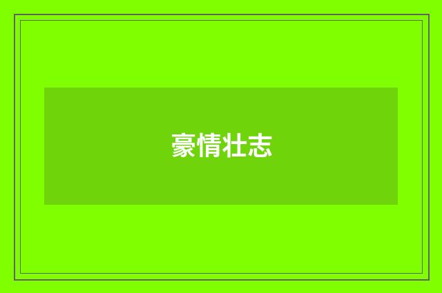豪情壮志