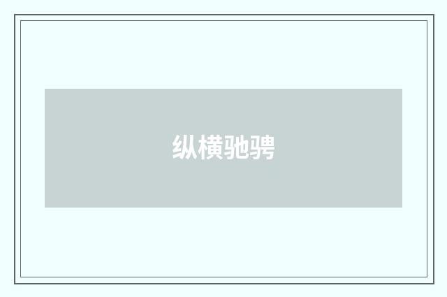 纵横驰骋