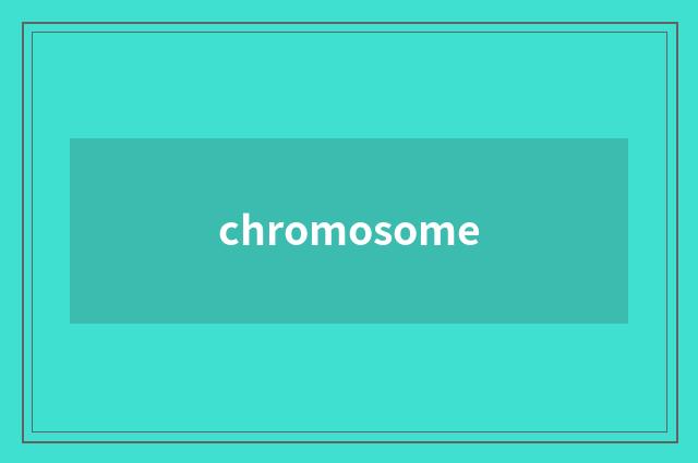 chromosome
