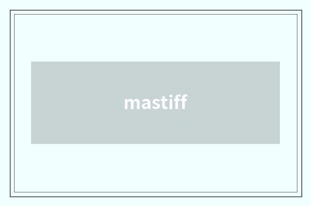 mastiff