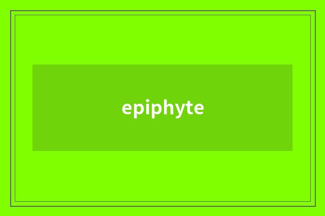 epiphyte