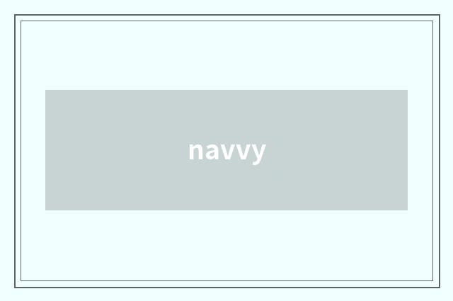 navvy