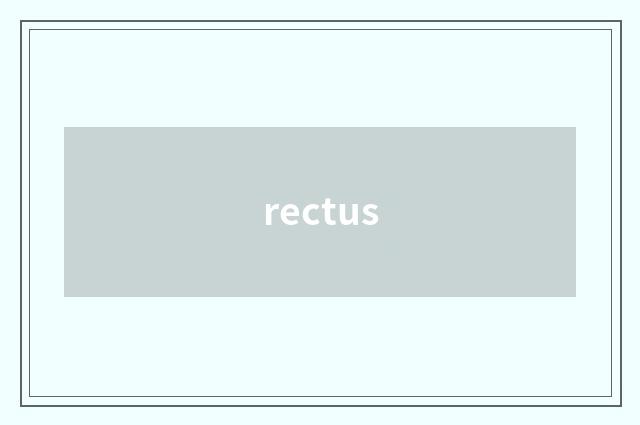 rectus