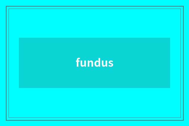 fundus