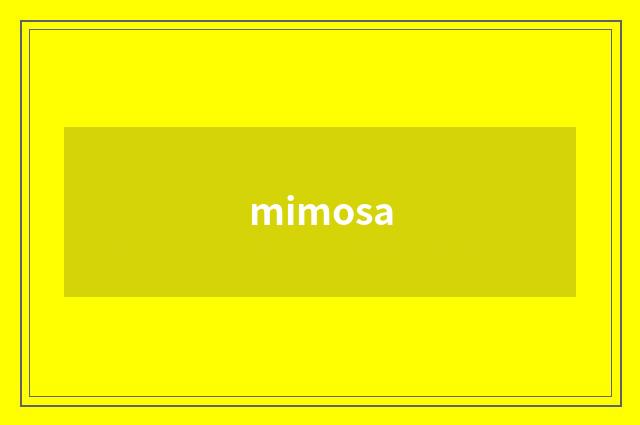 mimosa