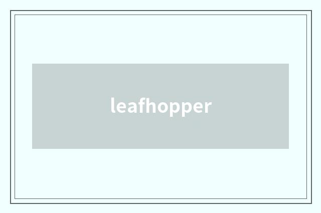 leafhopper