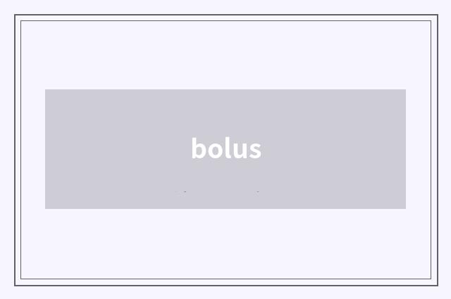 bolus