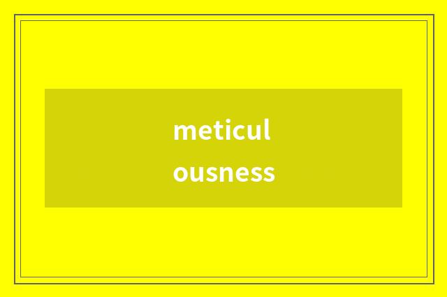 meticulousness