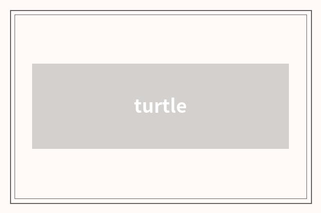 turtle