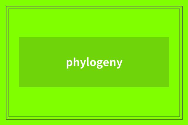 phylogeny
