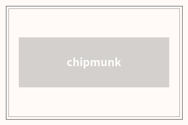 chipmunk