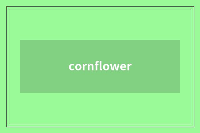 cornflower