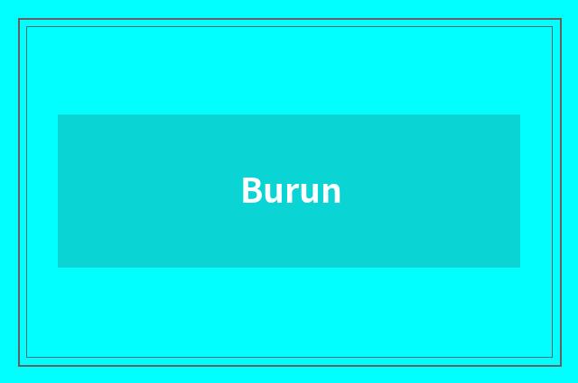 Burun