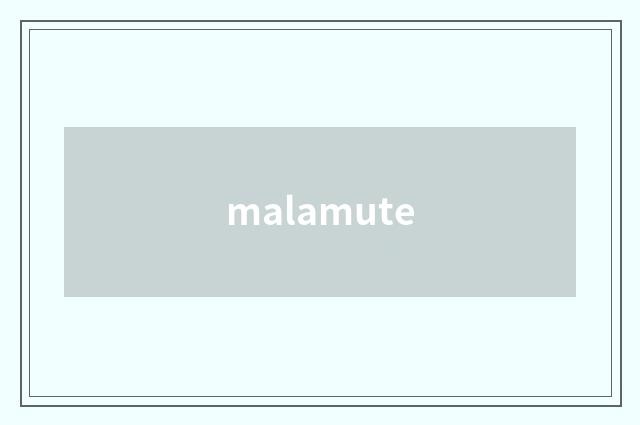 malamute
