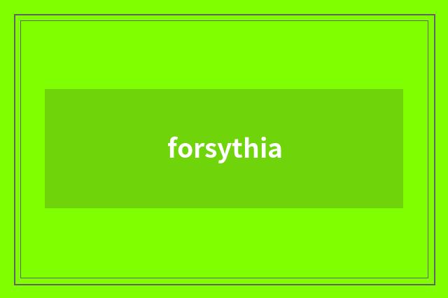 forsythia