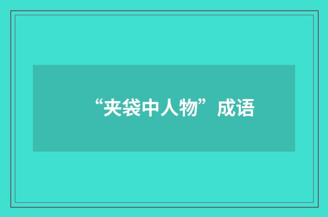 “夹袋中人物”成语