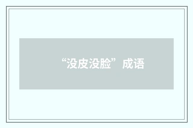 “没皮没脸”成语