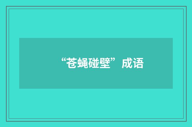 “苍蝇碰壁”成语