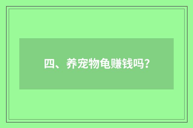 四、养宠物龟赚钱吗?