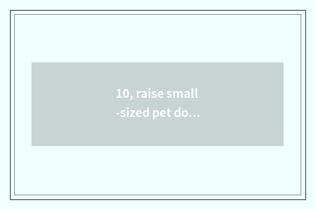 10, raise small-sized pet dog to you can make money?
