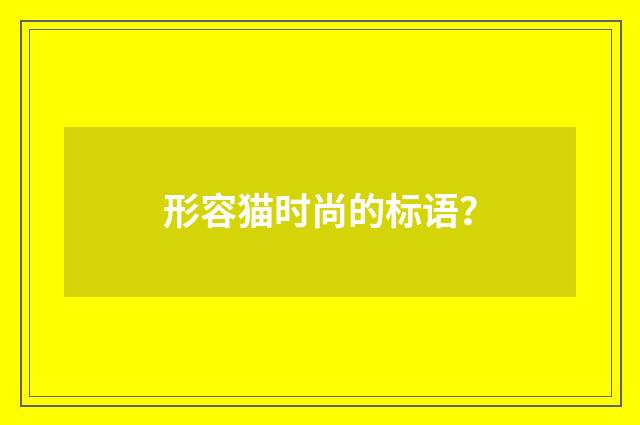 形容猫时尚的标语?
