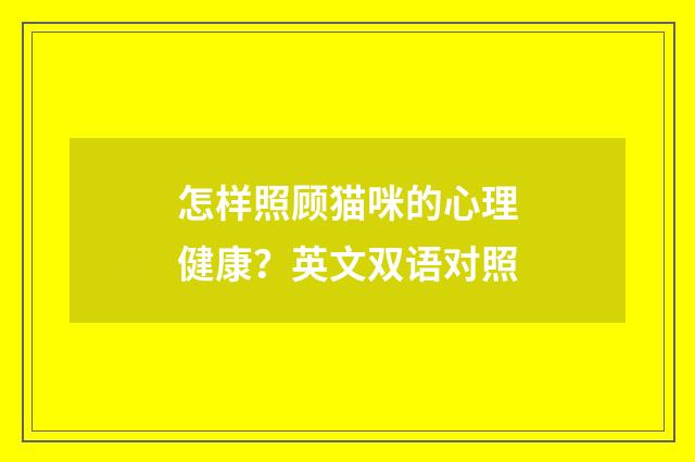 怎样照顾猫咪的心理健康？英文双语对照