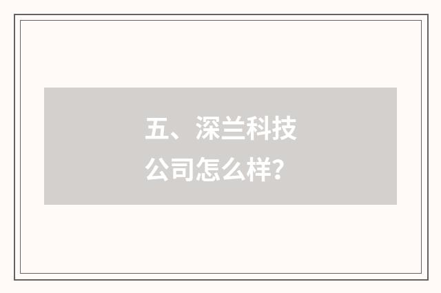 五、深兰科技公司怎么样?