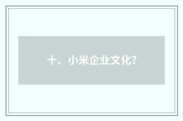 十、小米企业文化?
