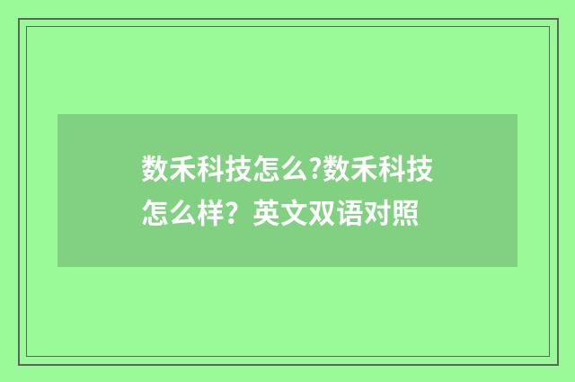 数禾科技怎么?数禾科技怎么样?英文双语对照