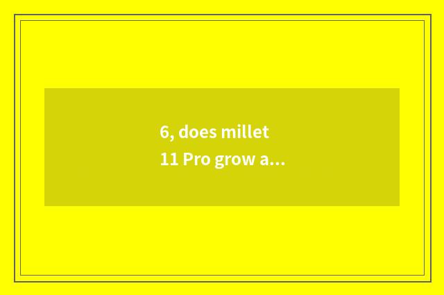 6, does millet 11 Pro grow anxious comparative evaluation?