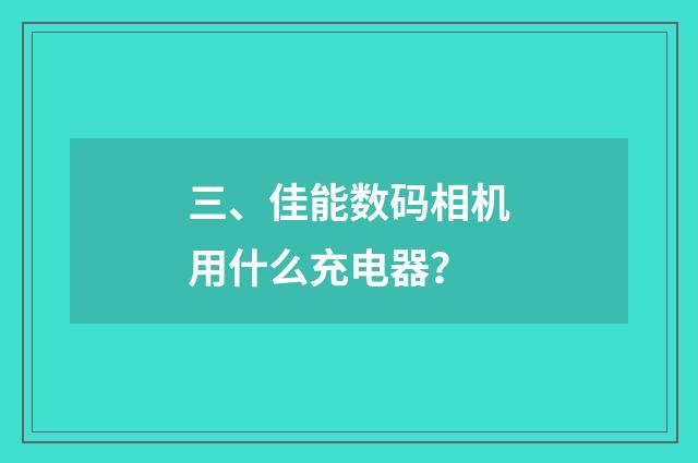 三、佳能数码相机用什么充电器？