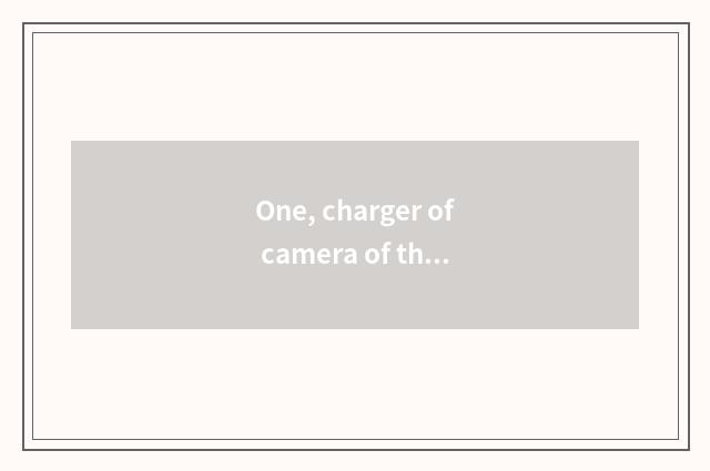 One, charger of camera of the number below the pine?