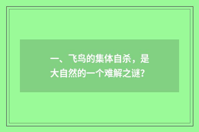 一、飞鸟的集体自杀,是大自然的一个难解之谜?
