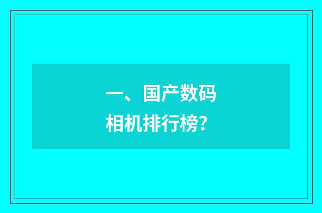 一、国产数码相机排行榜?