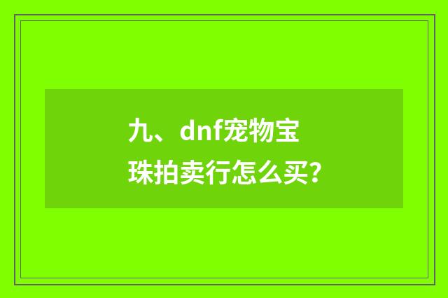 九、dnf宠物宝珠拍卖行怎么买?