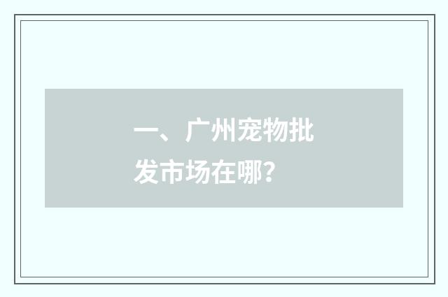 一、广州宠物批发市场在哪?