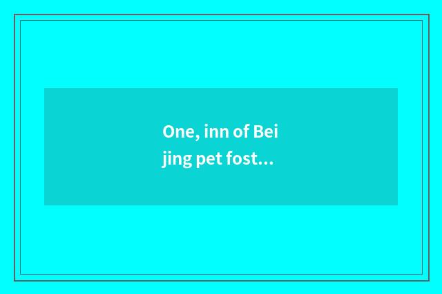 One, inn of Beijing pet fosterage which are good?