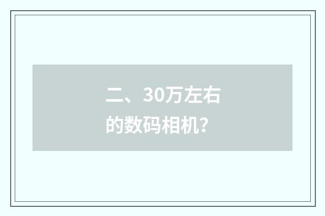 二、30万左右的数码相机?