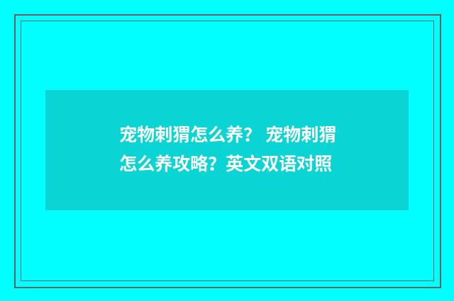 宠物刺猬怎么养？ 宠物刺猬怎么养攻略？英文双语对照