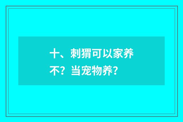 十、刺猬可以家养不?当宠物养?