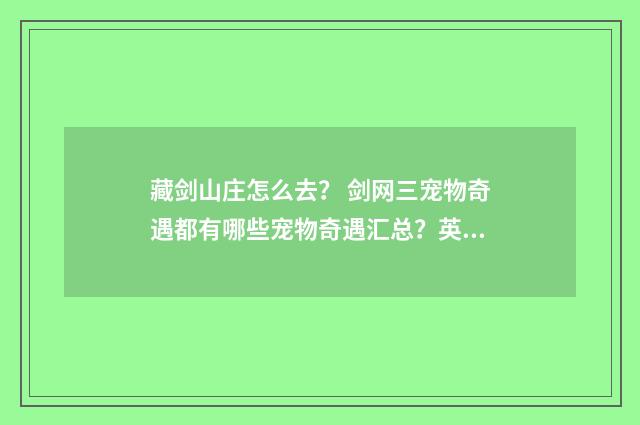 藏剑山庄怎么去? 剑网三宠物奇遇都有哪些宠物奇遇汇总?英文双语对照