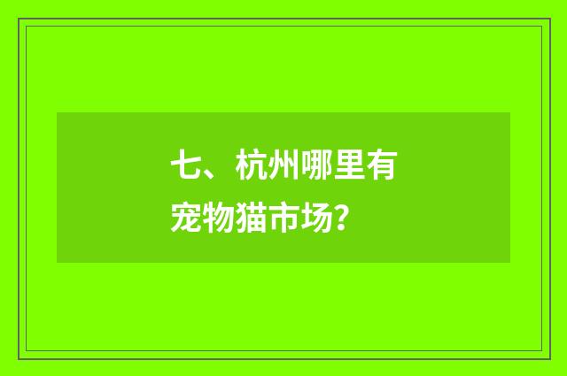 七、杭州哪里有宠物猫市场?