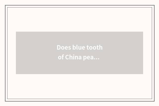 Does blue tooth of China peaceful car hook up don't have sound?